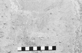 NMSA 03 1959P