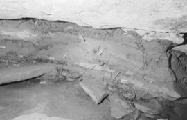 NMSA 03 8787P