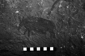 NMSA 03 3326P