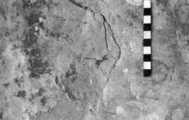 NMSA 03 4731P