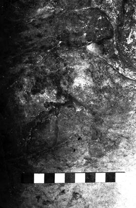 NMSA 03 4162P