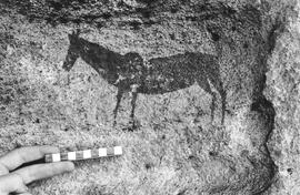 NMSA 03 356P