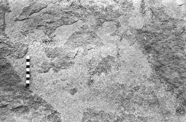 NMSA 03 1700P
