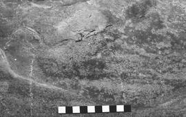 NMSA 03 5255P