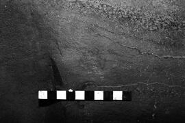 NMSA 03 4464P