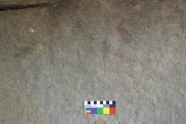 NMSA RSA CRN2 1D