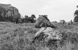NMSA 03 4315P