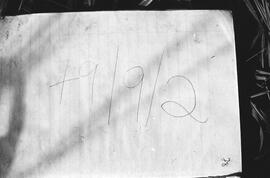 NMSA 03 3116P