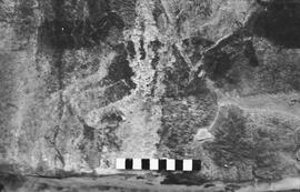 NMSA 03 818P