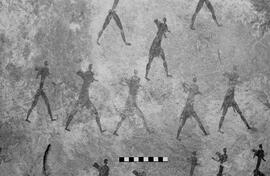 NMSA 03 5354P