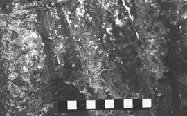 NMSA 03 2112P