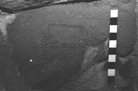 NMSA 03 8288P