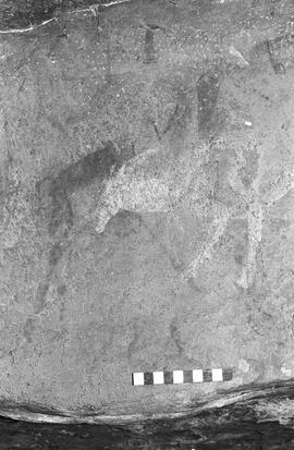 NMSA 03 1342P