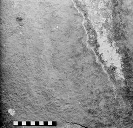 NMSA 03 5816P