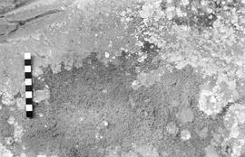 NMSA 03 2967P