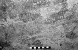 NMSA 03 5324P