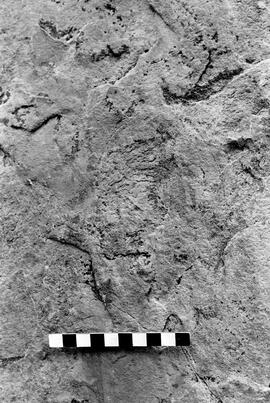 NMSA 03 3846P