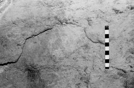 NMSA 03 6458P