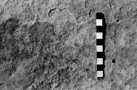 NMSA 03 3124P