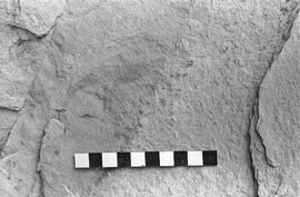 NMSA 03 1805P