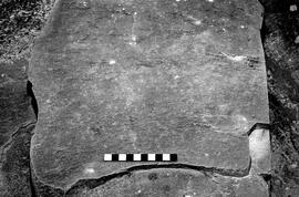 NMSA 03 3755P