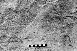 NMSA 03 6511P