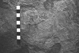 NMSA 03 2695P