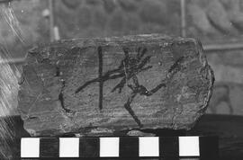 NMSA 03 81N