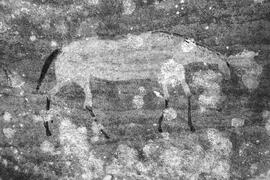 NMSA 03 517P