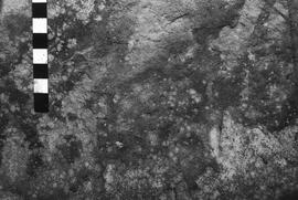 NMSA 03 4567P