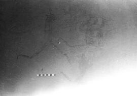 NMSA 03 2621P