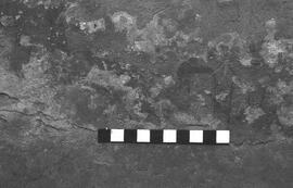 NMSA 03 2837P