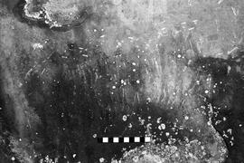 NMSA 03 4131P