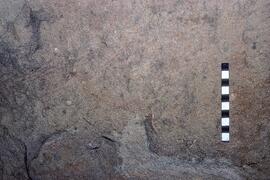 RSA GAC17 18