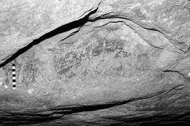 NMSA 03 6887P