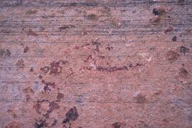 RSA MIM1 6