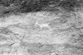 NMSA 03 205P