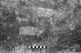 NMSA 03 4585P