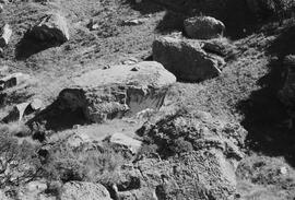 NMSA 03 5476P