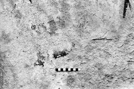 NMSA 03 3270P