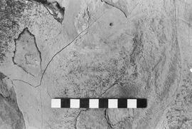 NMSA 03 2634P