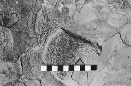 NMSA 03 2633P