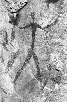 NMSA 03 7848P