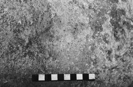 NMSA 03 4774P