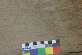 NMSA RSA LNM1 29D