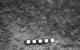 NMSA 03 1728P