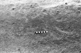 NMSA 03 1692P