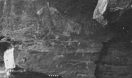 NMSA 03 5808P