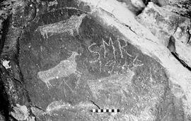 NMSA 03 2978P