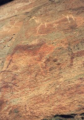 NMSA 02 171P